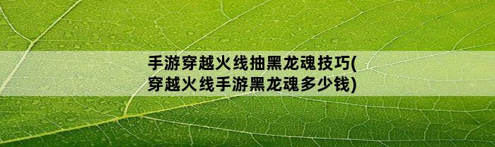 手游穿越火线抽黑龙魂技巧(穿越火线手游黑龙魂多少钱)