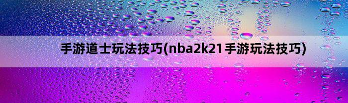 手游道士玩法技巧(nba2k21手游玩法技巧)