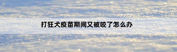 打狂犬疫苗期间又被咬了怎么办