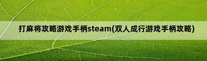 打麻将攻略游戏手柄steam(双人成行游戏手柄攻略)