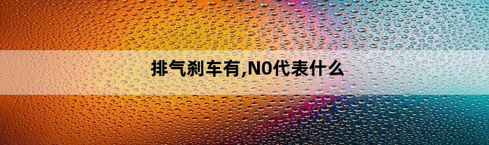 排气刹车有,N0代表什么