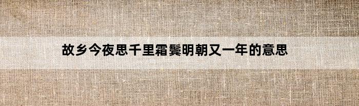 故乡今夜思千里霜鬓明朝又一年的意思