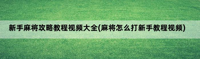 新手麻将攻略教程视频大全(麻将怎么打新手教程视频)