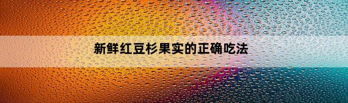 新鲜红豆杉果实的正确吃法