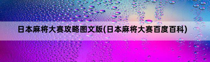 日本麻将大赛攻略图文版(日本麻将大赛百度百科)