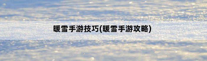 暖雪手游技巧(暖雪手游攻略)