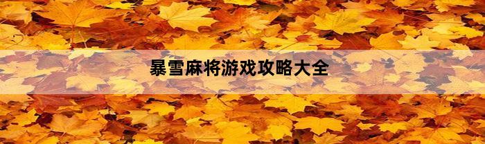 暴雪麻将游戏攻略大全