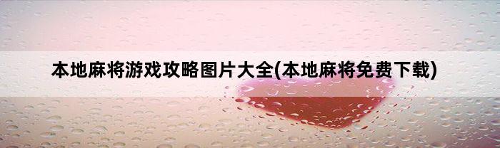 本地麻将游戏攻略图片大全(本地麻将免费下载)