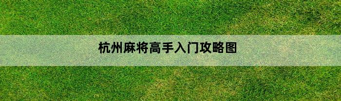 杭州麻将高手入门攻略图