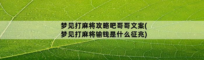 梦见打麻将攻略吧哥哥文案(梦见打麻将输钱是什么征兆)