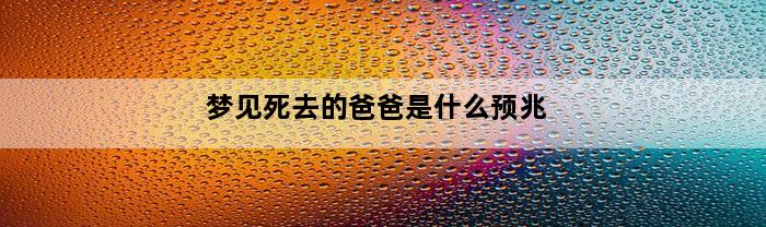 梦见死去的爸爸是什么预兆