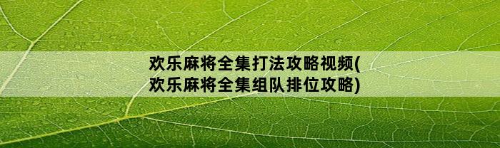 欢乐麻将全集打法攻略视频(欢乐麻将全集组队排位攻略)