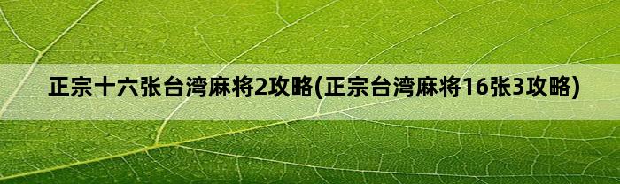 正宗十六张台湾麻将2攻略(正宗台湾麻将16张3攻略)