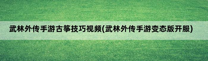 武林外传手游古筝技巧视频(武林外传手游变态版开服)