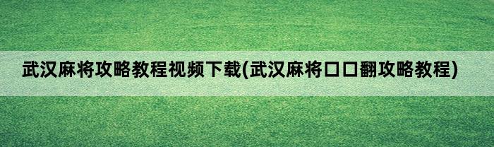 武汉麻将攻略教程视频下载(武汉麻将口口翻攻略教程)