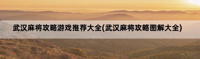 武汉麻将攻略游戏推荐大全(武汉麻将攻略图解大全)