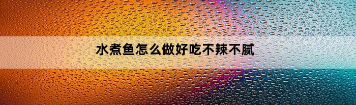 水煮鱼怎么做好吃不辣不腻