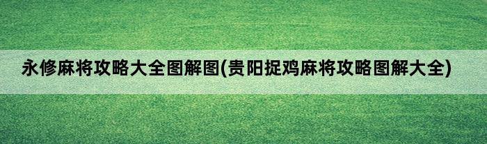 永修麻将攻略大全图解图(贵阳捉鸡麻将攻略图解大全)