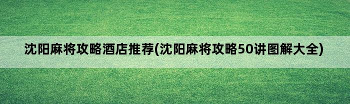 沈阳麻将攻略酒店推荐(沈阳麻将攻略50讲图解大全)