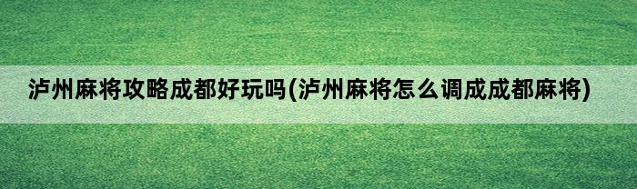 泸州麻将攻略成都好玩吗(泸州麻将怎么调成成都麻将)