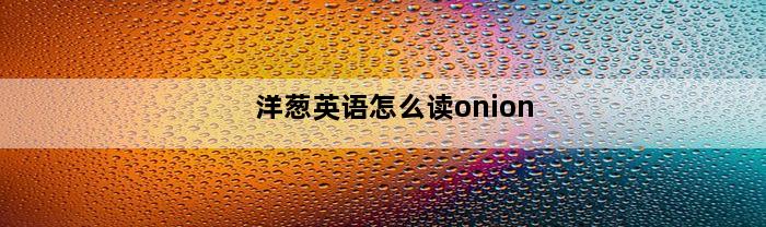 洋葱英语怎么读onion