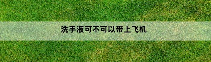 洗手液可不可以带上飞机