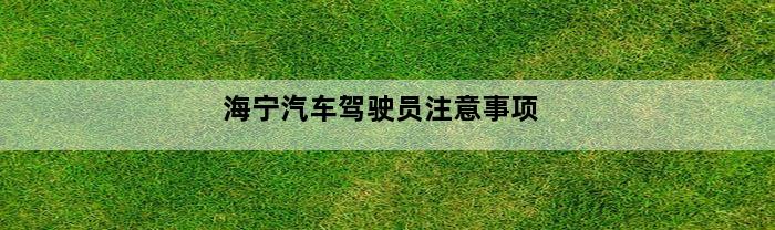 海宁汽车驾驶员注意事项