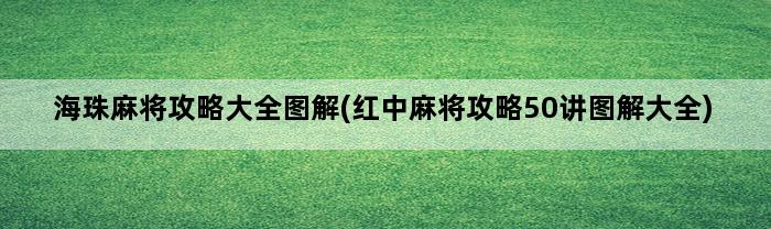 海珠麻将攻略大全图解(红中麻将攻略50讲图解大全)