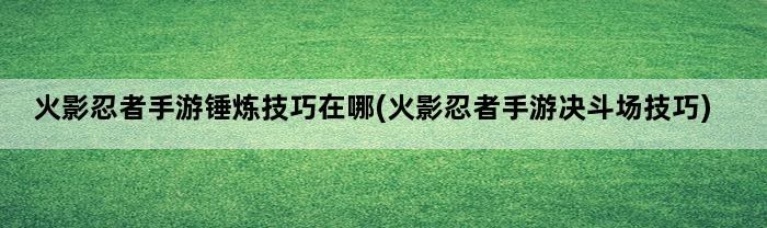 火影忍者手游锤炼技巧在哪(火影忍者手游决斗场技巧)