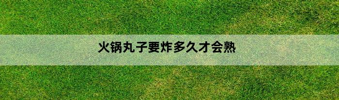 火锅丸子要炸多久才会熟