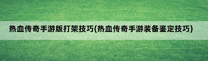 热血传奇手游版打架技巧(热血传奇手游装备鉴定技巧)