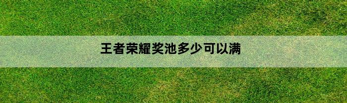 王者荣耀奖池多少可以满