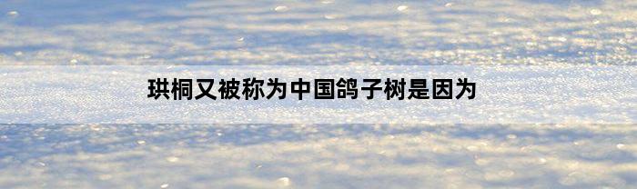 珙桐又被称为中国鸽子树是因为