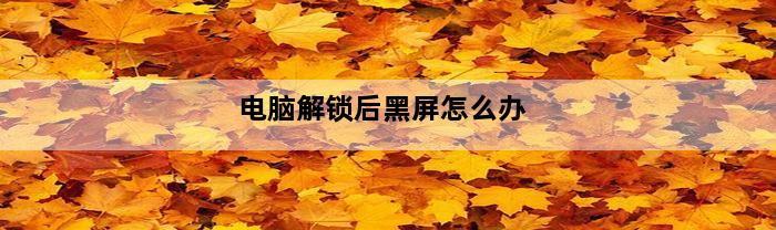 电脑解锁后黑屏怎么办