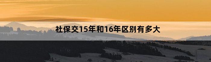 社保交15年和16年区别有多大