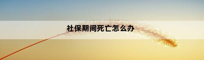 社保期间死亡怎么办