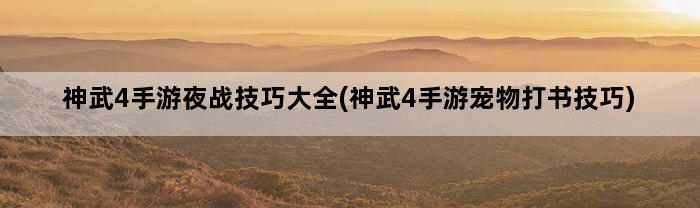 神武4手游夜战技巧大全(神武4手游宠物打书技巧)