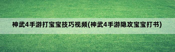 神武4手游打宝宝技巧视频(神武4手游隐攻宝宝打书)