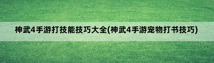 神武4手游打技能技巧大全(神武4手游宠物打书技巧)