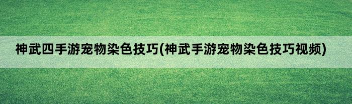 神武四手游宠物染色技巧(神武手游宠物染色技巧视频)