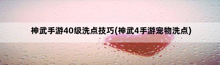 神武手游40级洗点技巧(神武4手游宠物洗点)