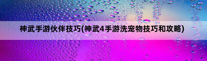 神武手游伙伴技巧(神武4手游洗宠物技巧和攻略)