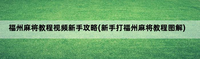 福州麻将教程视频新手攻略(新手打福州麻将教程图解)