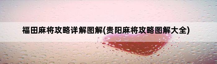 福田麻将攻略详解图解(贵阳麻将攻略图解大全)