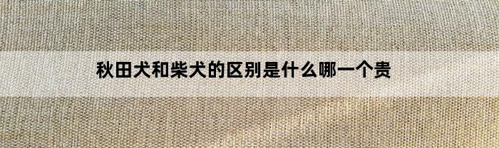 秋田犬和柴犬的区别是什么哪一个贵