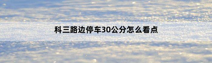 科三路边停车30公分怎么看点