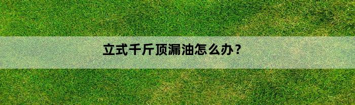 立式千斤顶漏油怎么办？