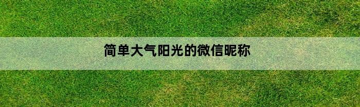 简单大气阳光的微信昵称