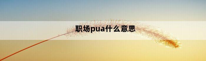 职场pua什么意思