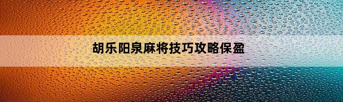 胡乐阳泉麻将技巧攻略保盈